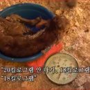 영현목장 네이버블로그