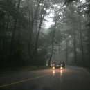 광선자동차나라 이미지