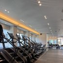 타운케이휘트니스 이미지