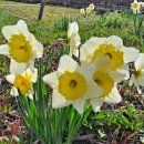 부일부동산공인중개사사무소 이미지