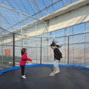 아인하우스2 | 대전근교 아이랑 딸기체험 논산 아인팜 솔직후기(딸기초코퐁듀 글램핑존)