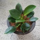 산호수농장 이미지