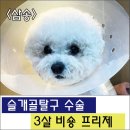 삼송사랑 동물의료센터 이미지