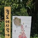 나나펜션 네이버블로그