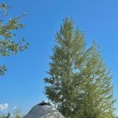 식당마트스카즈카 | 2편 / YurtCamp tosor Tonya 숙소 후기 / 스카즈카 캐년 택시 후기 / 토소르에서 코치코르 이동 후기