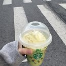 보니플레이스 | 03 기어코, 마침내 짙은 녹음에 닿았을 때