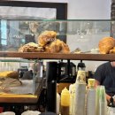 허니케이크(HONEY CAKE) | [호주로그] 호주 | 𝐒𝐲𝐝𝐧𝐞𝐲 𝐁𝐫𝐮𝐧𝐜𝐡 & 𝐂𝐚𝐟𝐞 𝐋𝐢𝐬𝐭 🇦🇺☕️ (시드니 브런치 & 카페 리스트)
