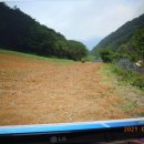 김삿갓면-19 이미지