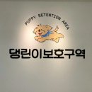 댕린이 보호구역 이미지