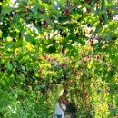 동로석항보건진료소 | 백두대간트레일 3년 7개월 만의 출정, 예천 효자면 왕의기운탐방로