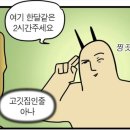 아보(avo) 이미지