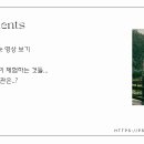 소금랜드 이미지