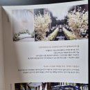 11260-4-13-27 | 부산 홀투어 후기 연산동 목화웨딩홀 벨리스홀 (27년 견적 공유) +홀투어 꿀팁