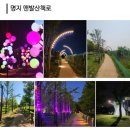 [일상] 명지 맨발 산책로 너울길