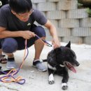 팅커벨하우스 이미지