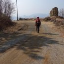 순천만자연드림목장 이미지