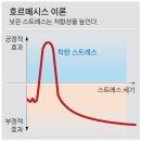 제 1회 푸더바 만화 클럽 후기 - 오카자키 교코 <PINK>