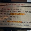 인우 | [전남담양]담양 피규어 카페 방문기 | 덕후 감성 가득한 이색 카페 추천 ☕ 담양 인우 카페 후기