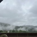 고한여자고등학교 이미지