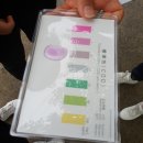 가례천 이미지