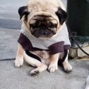 수원왕갈비통닭 이미지