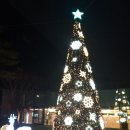 꽃잠 하우젠 이미지