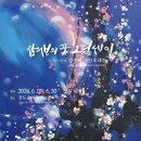 진도솔마루미술관 Daum카페