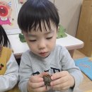 꿈틀꿈틀 솔방울 달팽이~🐌 이미지