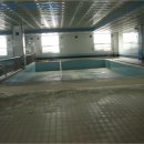 로얄스포렉스 이미지