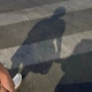 본플러스한의원 | 강남 다이어트 한의원 -20키로 감량 3개월 다녀본 실제후기