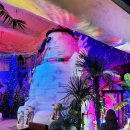 아이스뮤지엄 이미지