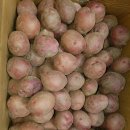 재선농장 이미지