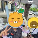 인형의 거리(소) 이미지