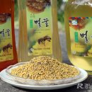 지리산벌꿀영농조합법인 이미지