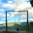 힐링포레 이미지