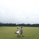 홀스샵(홀스() 이미지