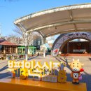 테마와 하루(지역축제 체험) 이미지