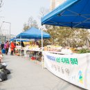 아름동_아름초등학교앞 이미지