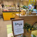 대전상회 | 대전여행, 대전 꿈씨상회 팝업 다녀온 내돈내산 후기 _꿈돌이 천국