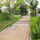 비전부동산공인중개사사무소 이미지