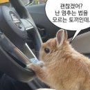 한국교통안전공단 의정부자동차검사소