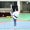 한국체대 비전태권도장 이미지