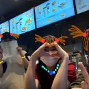 또사고파 | 12월 32일