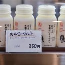 갈리지 | 후라노 치즈공방 후기 | 치즈소프트 아이스크림 맛집 홋카이도 가볼만한 곳