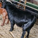 유전1농장 이미지