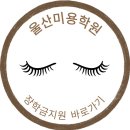 효자로L | 속눈썹 실무 기술로 매출까지 업 울산미용학원
