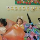 꽃뿐이네 이미지