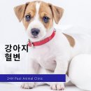 카카오N동물병원 이미지
