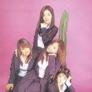 핑클 이미지