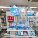 다이소 여름 신상 해파리 시리즈 구경 후기! 시원함 그 자체